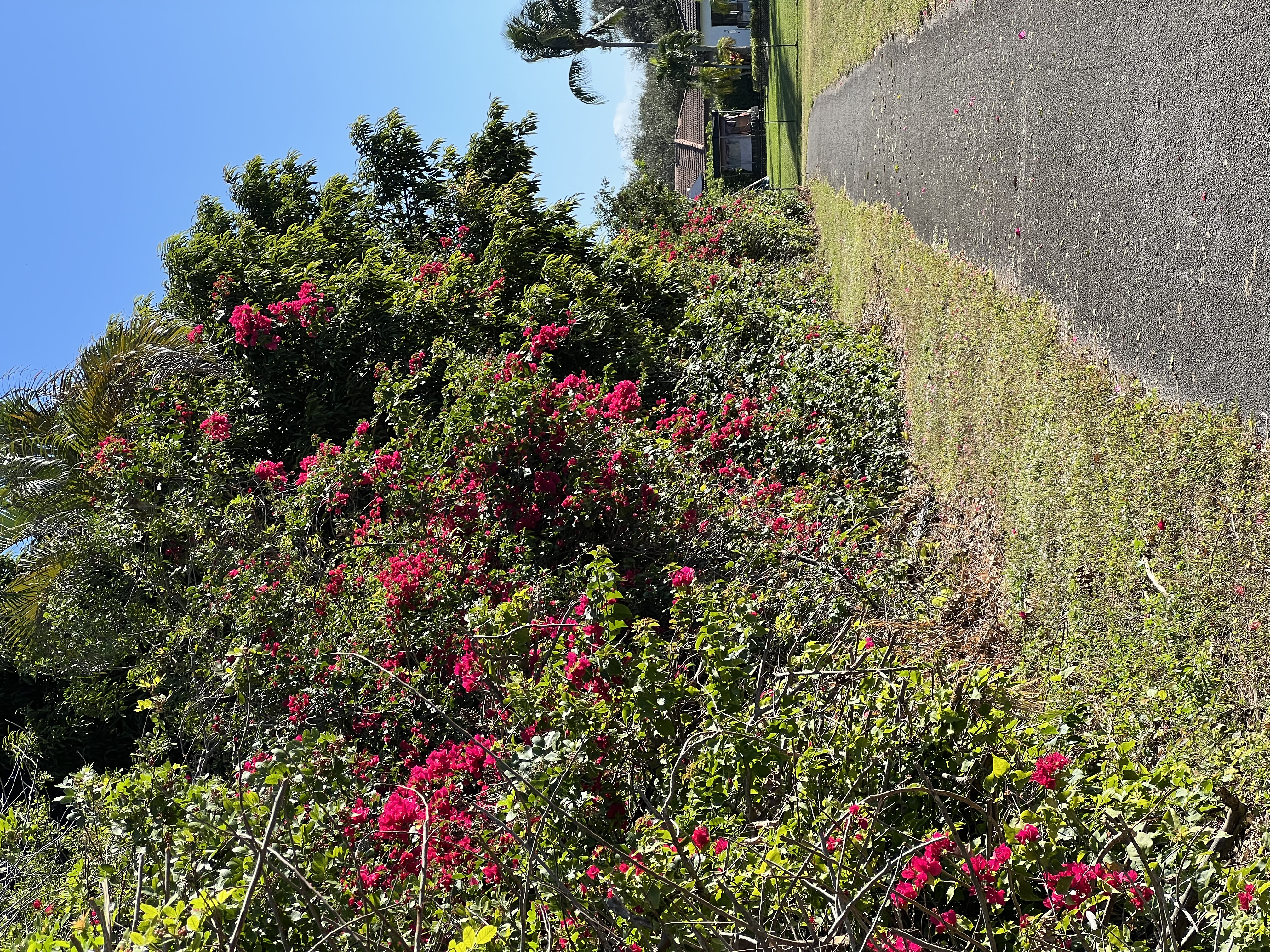 ./2024/12 - Thanksgiving/IMG_4035.jpg